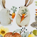 081387-900011-autumn-bunny-baumwolljersey-10