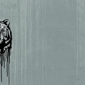 081309-100267-wild-tiger-thorsten-berger-panel