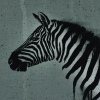 081227-100267-wild-zebra-thorsten-berger-10-01