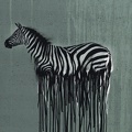 081227-100267-wild-zebra-thorsten-berger-40