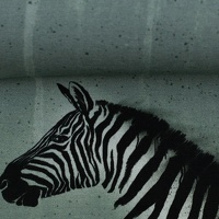 081227-100267-wild-zebra-thorsten-berger-ballen
