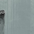 081227-100267-wild-zebra-thorsten-berger-panel
