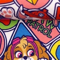 081645-148999-paw-patrol-sweat-ballen