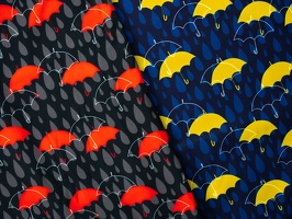 Robin Softshell Regenschirme HMAUG21 Swafing q (2)