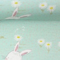 081579-100260-moppi-rabbit-christiane-zielinski-ballen