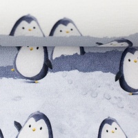 081795-317259-pinguinis-thorsten-berger-ballen