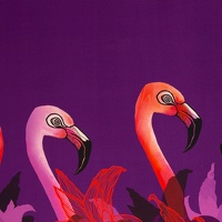 081892-446646-flamingoflowers-thorstenberger-40