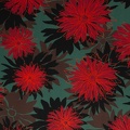 081943-879267-asteria-thorstenberger-40