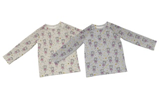 Raglanshirts Nils Feen 901183 901010 COLL q