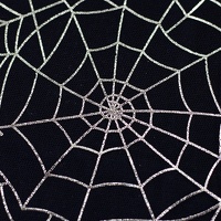 082145-299183-spiderweb-tüll-10