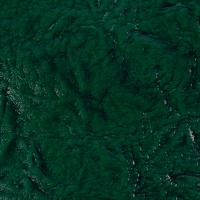 082219-001365-jupiter-kunstleder-10