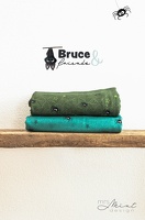 MrsMinDesign BruceandFriends Spinnen-Spinnenweben 556768 556265 h Typo