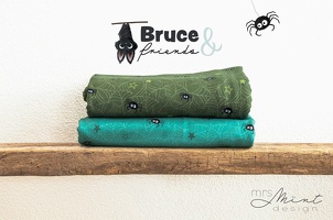 MrsMinDesign BruceandFriends Spinnen-Spinnenweben 556768 556265 q Typo