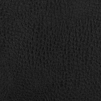 082418-000299-elvis-kunstleder-10