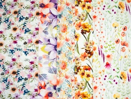 Flora alleFarben Blumen 300010 500010 400010 100642 200010 q1
