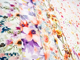 Flora alleFarben Blumen 300010 500010 400010 100642 200010 q3