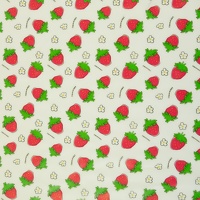 082425-817000-regensburgprints-folie-40