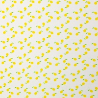 082494-207011-theaHMFEB25-doublegauze-40
