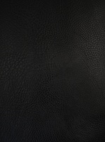 Elvis Kunstleder 299 h1