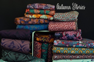 bienvenidocolorido SwafingHW2526  AutumnStories q 3 Typo