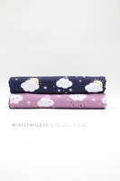 ChristianeZielinski SwafingHW2526 Winterwolken 254597 254642 h Typo