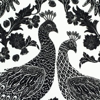 082591-100011-peacockwedding-bienvenidocolorido-10