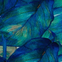 082631-102255-elias-baumwolljersey-10