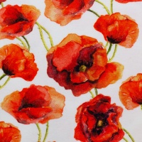 082631-103011-elias-baumwolljersey-10