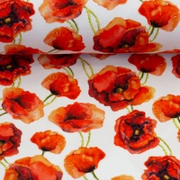 082631-103011-elias-baumwolljersey-ballen