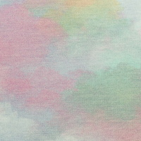 082670-2621252-cloudy-christianezielinski-10