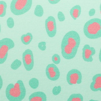 082674-226261-parrots-bienvenidocolordico-10