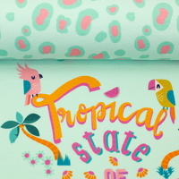 082674-226261-parrots-bienvenidocolordico-ballen