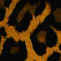 082563-604314-julia-viskose-10