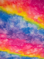 Elias Baumwolljersey Regenbogen 109999 h2