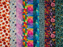 Elias Baumwolljersey Blumen Blaetter Buchstaben Regenbogen q1