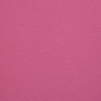 082679-431935-stella-buendchen-40