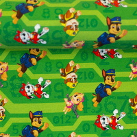 082818-103603-pawpatrol-baumwolljersey-ballen