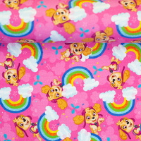 082818-130934-pawpatrol-baumwolljersey-ballen