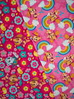 PawPatrol Baumwolljersey Skye Everest beere Skye Regenboegen pink 131639 130934 h1