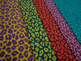 Cleopatra Baumwolljersey alleFarben Leo bunt 314648 749314 937636 643937 747749 q3