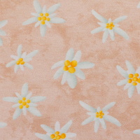 082910-344420-alpenliebe-mrsmintdesign-10