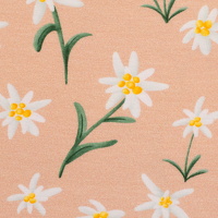 082910-345420-alpenliebe-mrsmintdesign-10