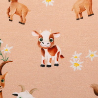 082910-346420-alpenliebe-mrsmintdesign-10