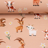 082910-346420-alpenliebe-mrsmintdesign-ballen