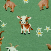 082910-346603-alpenliebe-mrsmintdesign-10