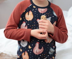 piotto kreativ Chicken 778597 Vanessa-mel 1339 Heike 596 (20)