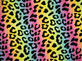 Cindy FrenchTerry vonAdele Leo schwarz bunt 299999 q2