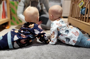 LiNaeh Chicken  778010 778597 Vanessa 596 Vanessa-mel Heike-mel 1742 (2)