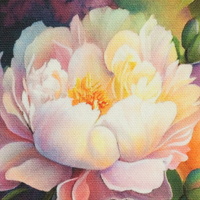 082965-226599-aura-canvas-10
