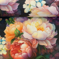 082965-226599-aura-canvas-ballen